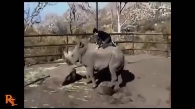 Самые нереальные трюки планеты №1 смотреть онлайн