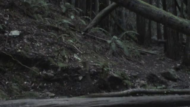 Hamlet Soliloquy #1 Act 1 Scene 2 смотреть онлайн