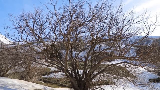 Песня про Казахстан. Discovering Kazahstan: Christian Song (OFFICIAL VIDEO)