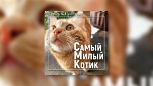 Симбочка пимпочка-самый милый котик
