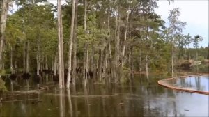 Паранормальное явления, вы еще такого не видели!