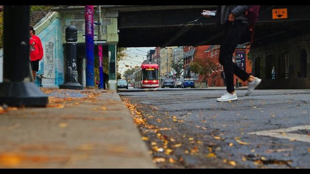 Leroy and Leroy's Guide to Toronto смотреть онлайн