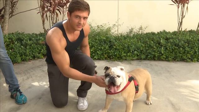 'Bullies and Biceps' calendar benefits pit bull charity group смотреть онлайн