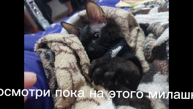 фух я это доделала спустя 2 часа смотреть онлайн
