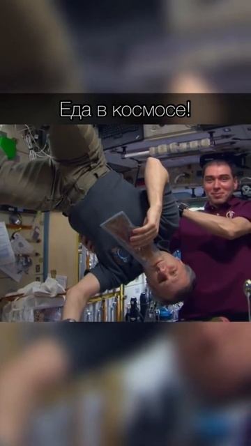 Еда в космосе. Как Едят Космонавты? #shorts #космос смотреть онлайн