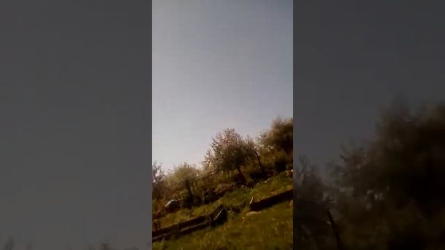 Наш сарай и синий кит 🐋🐳!!!!!!! смотреть онлайн