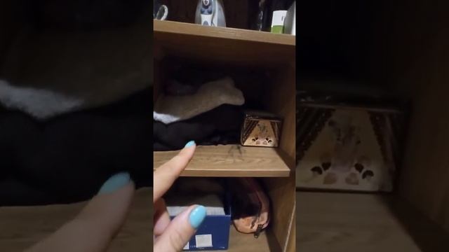 Рум-тур: спальня, книги смотреть онлайн