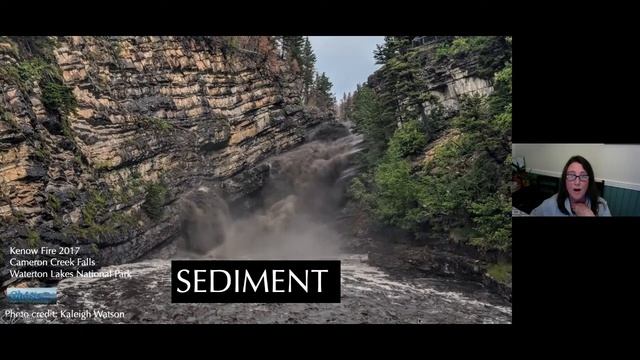 Fire and Water: How Wildfire Affects Calgary’s Source Watersheds and Beyond смотреть онлайн