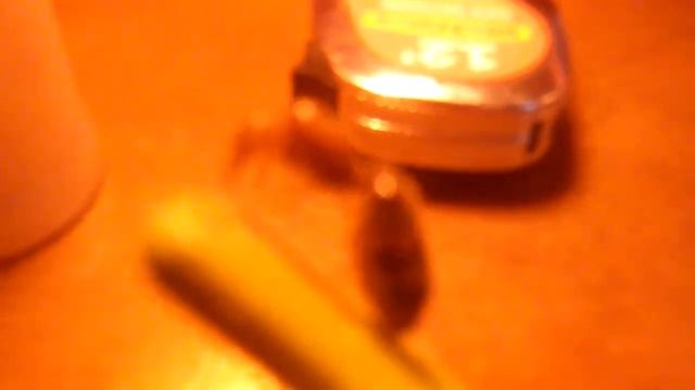 Queen Ants (Fire Ant Queen) ( Solenopsis Geminata ) смотреть онлайн