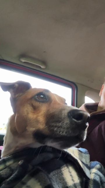 Джесси На Заправке смотреть онлайн