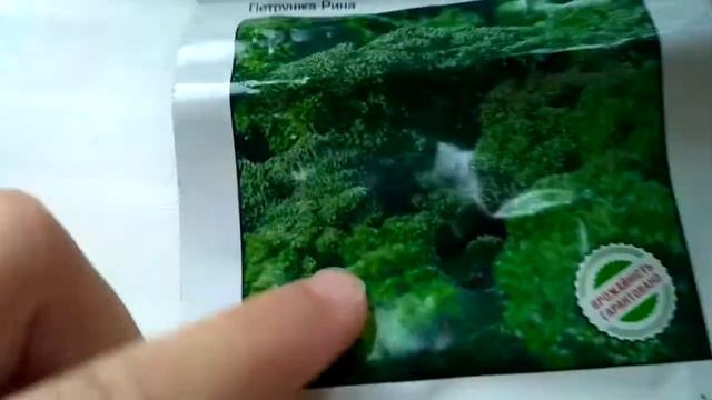 Моя петрушка и птичка Венера.