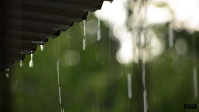 Rain /Дождь/Звуки дождя 1 час смотреть онлайн