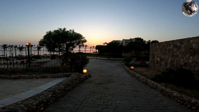 Marsa Alam Blend Elphistone Resort 08-2023 смотреть онлайн