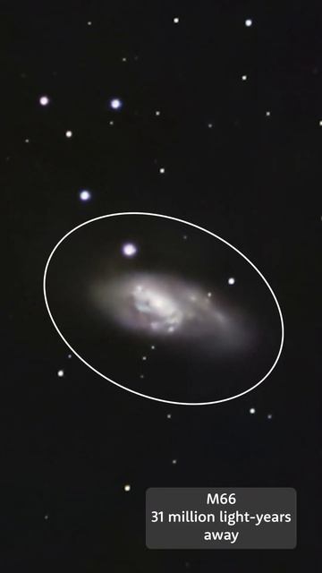 Leo’s Triplet #astrophotography #galaxy #zwo #sigmalens смотреть онлайн