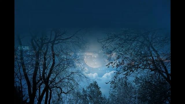 Полярная звезда. Людмила Дубковецкая