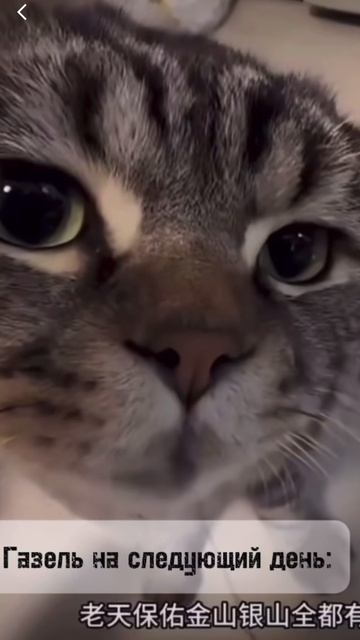 Что будет если поставить китайскую запчасть