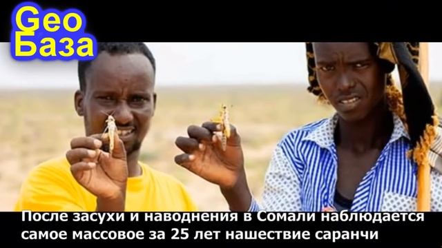 Геоданные о катаклизмах с 20 по 26 декабря смотреть онлайн