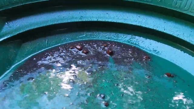 Ohio dredging with a new DIY build смотреть онлайн