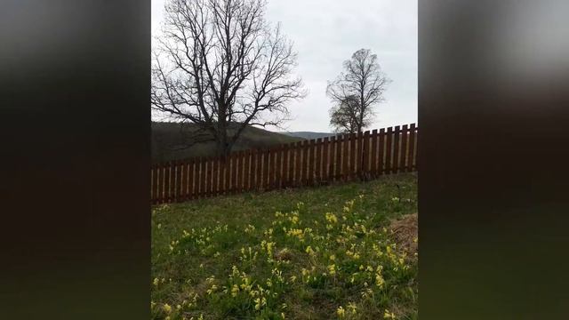 2018 Весна Петропавловка, JEC, Петербург смотреть онлайн