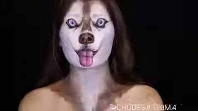 Фокус цена смотреть онлайн