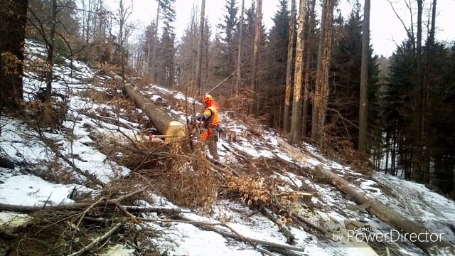 Working in forest, 72-2019, Im wald arbeiten, Práce v lese 🇨🇿 смотреть онлайн