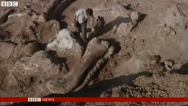 'Biggest dinosaur ever' discovered in Argentina смотреть онлайн
