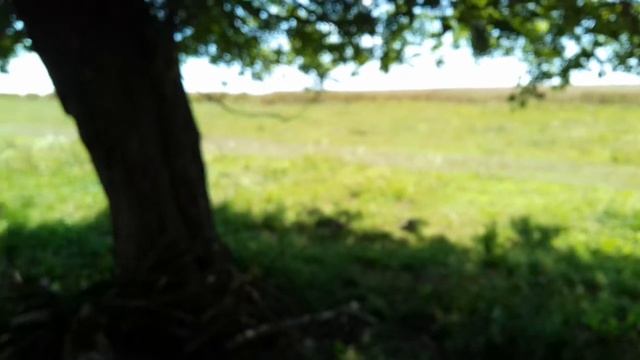 ЛК АГРО жнива 2017 ск5 нива,джон дір 6920s смотреть онлайн