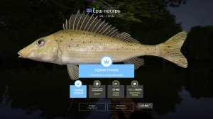 русская рыбалка 4 - СЕВЕРСКИЙ ДОНЕЦ...ТРОФЕЙНЫЙ ЕРШ НОСАРЬ.