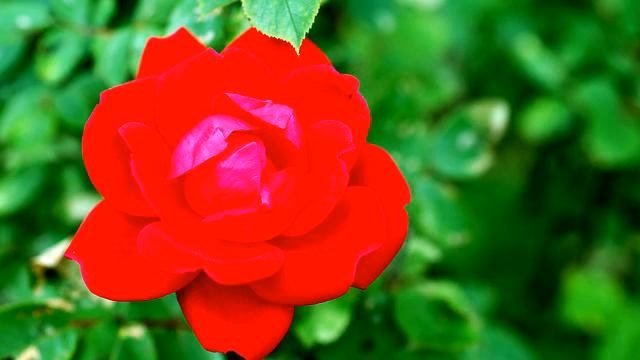 Новая русская музыка для души онлайн смотреть онлайн