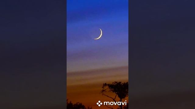 Новолуние во Льве. Энергии августа. смотреть онлайн