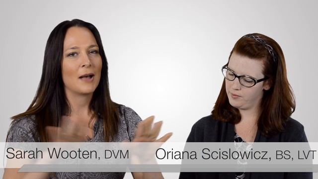 Back Office Blunders: Is there life on Mars? смотреть онлайн