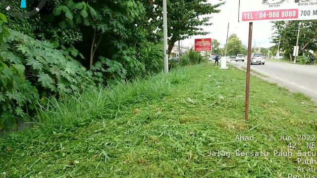 Antara jenis rumput yang cepat tumbuh & cepat panjang | Vol 3 смотреть онлайн