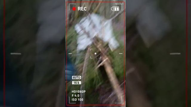 24 часа в лесу - сожгли лес смотреть онлайн