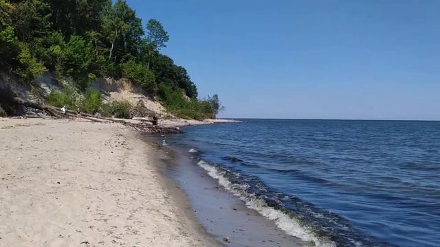 Звуки Балтики! смотреть онлайн