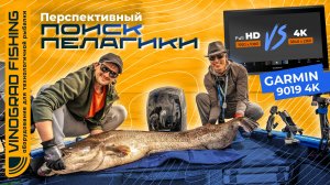 «ПЕРСПЕКТИВНЫЙ» ПОИСК ПЕЛАГИКИ | GARMIN 9019 4K