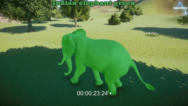 Speed Battles of Colored Mammals at Planet Zoo! - Hippo, Zebra, Elephant, Giraffe, Rhino смотреть онлайн