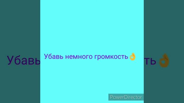 ГОНЩИК НЕ ЛЕГАЛЬНЫЙ моя сестра, + ANIMAL PLANET от моей сестры смотреть онлайн