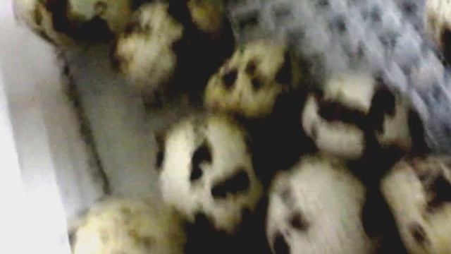 Перепелёнок в шлеме. смотреть онлайн