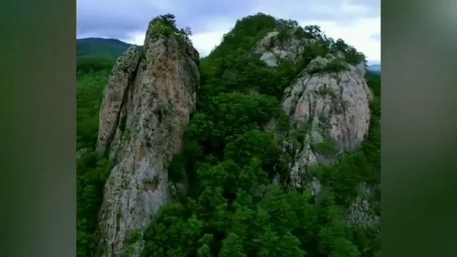 Земля - наш дом. Лёгкие планеты. Сосны. смотреть онлайн