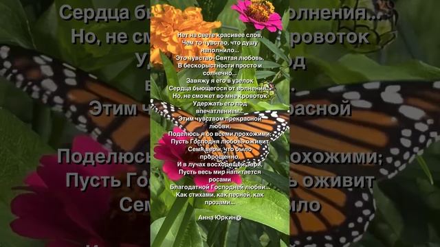 Нет на свете красивее слов… #христианский #стих (читает автор Анна Юркин@) смотреть онлайн