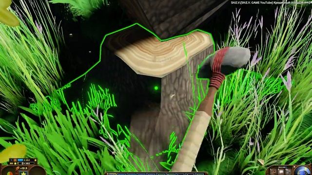 Eco-начало