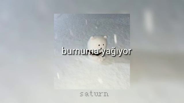 𝙇𝙞𝙩𝙩𝙡𝙚 𝙨𝙣𝙤𝙬𝙛𝙡𝙖𝙠𝙚❄(Türkçe çeviri)