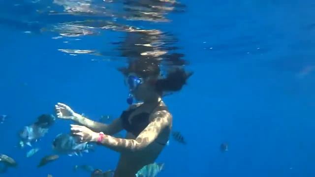 Египет Шарм Эль Шейх Снорклинг смотреть онлайн