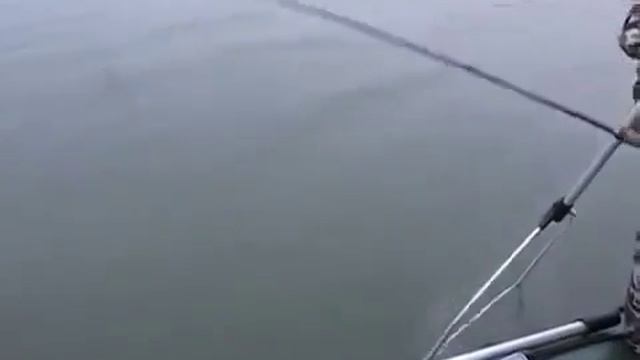 Вот оно какое рыбацкое счастье