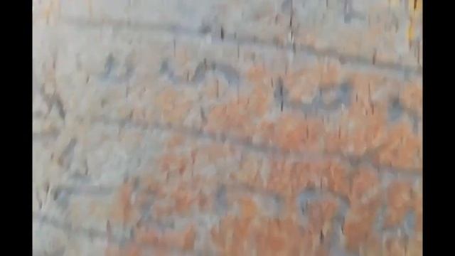 Javaxq Karzax Xozapin (Gel) 2022 смотреть онлайн