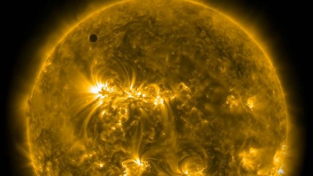 Venera Sayyorasida Hayot Bormi?