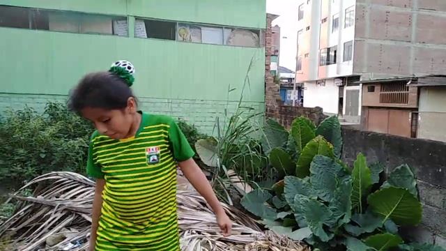 Las tres protectoras del planeta смотреть онлайн