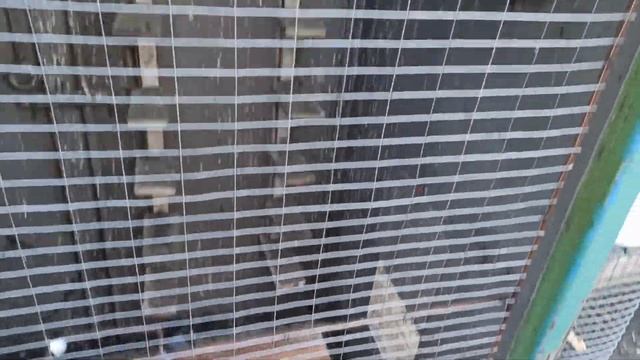 МОЇ СПОРТИВНІ ГОЛУБИ ІЗ НІМЕЧЧИНИ. смотреть онлайн