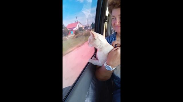 Персик первая поездка смотреть онлайн