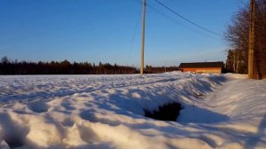 Mosse ei enää malttanut odottaa kesää - täältä tullaan!